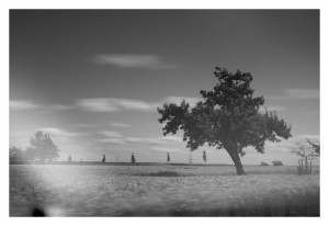 016-L1000256-1068 - 2015-07-25 - Wolken Felder - Leica Monochrom