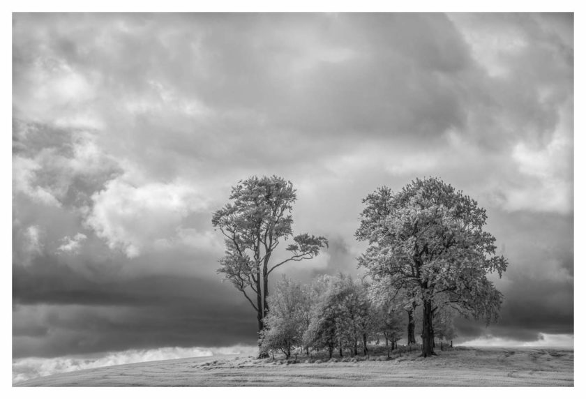 Yorkshire Dales in B&W