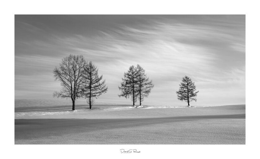Japan Hokkaido Leica Monochrom M11